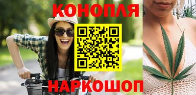 не бодяженный Камышлов